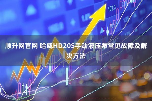 顺升网官网 哈威HD20S手动液压泵常见故障及解决方法