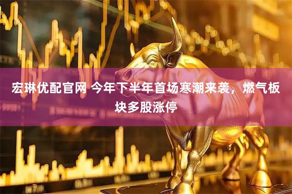 宏琳优配官网 今年下半年首场寒潮来袭，燃气板块多股涨停