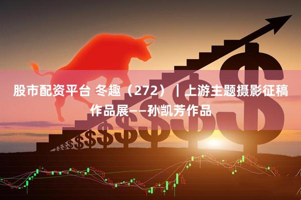 股市配资平台 冬趣（272）｜上游主题摄影征稿作品展——孙凯芳作品