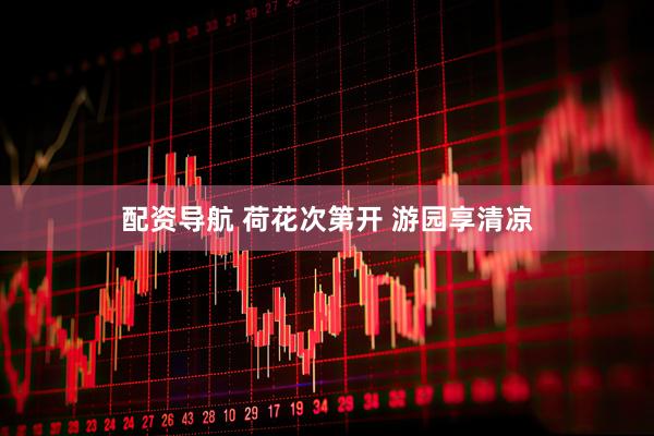 配资导航 荷花次第开 游园享清凉